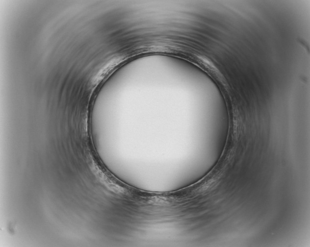 X0000102540938200808291839