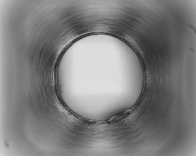 X0000102540939200808291839