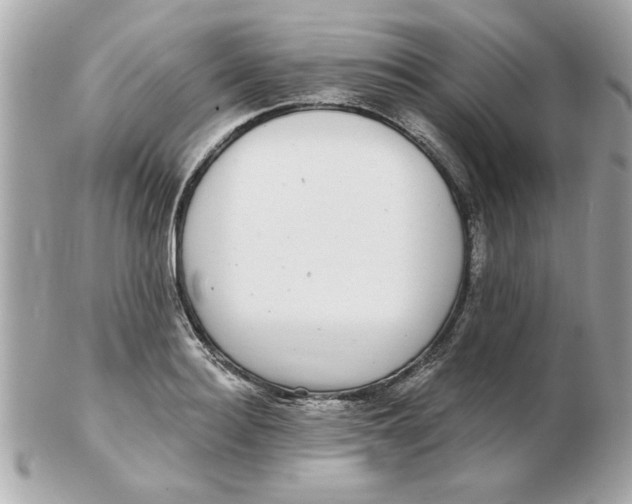 X0000102540940200808291839