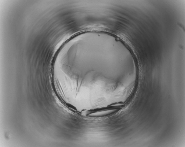 X0000102540941200808291839