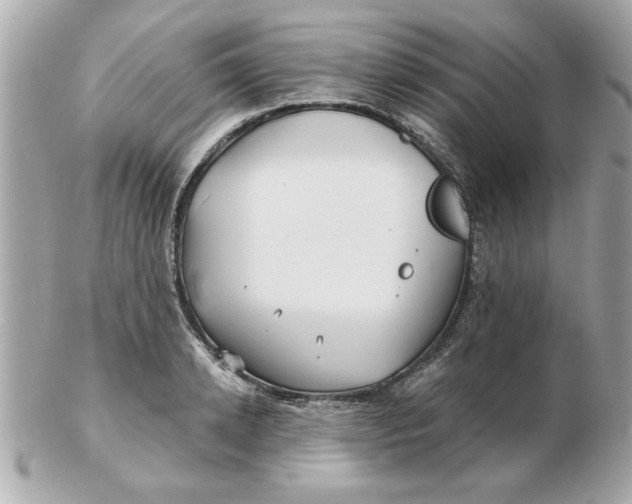 X0000102540942200808291839