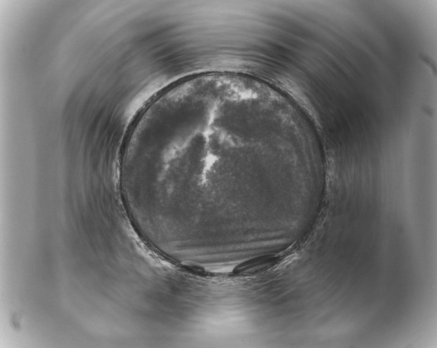 X0000102540944200808291839