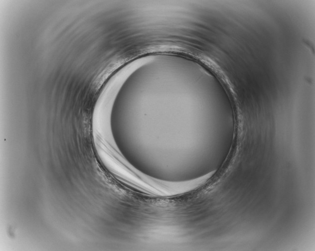 X0000102540945200808291839