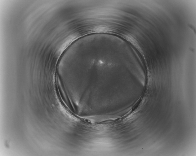 X0000102540946200808291839