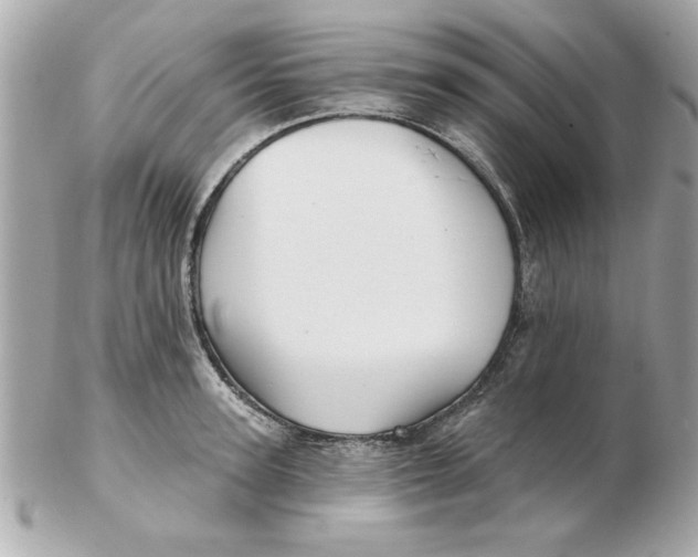 X0000102540947200808291839