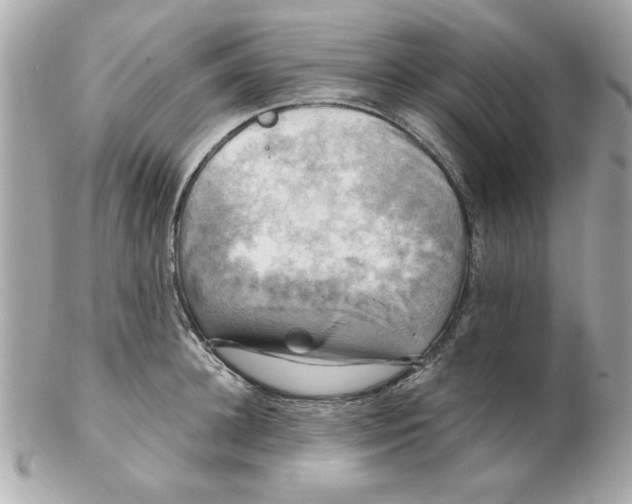 X0000102540948200808291839