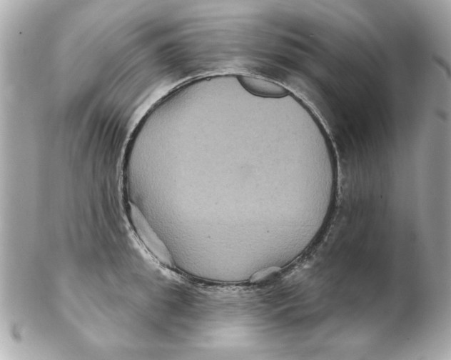 X0000102540949200808291839