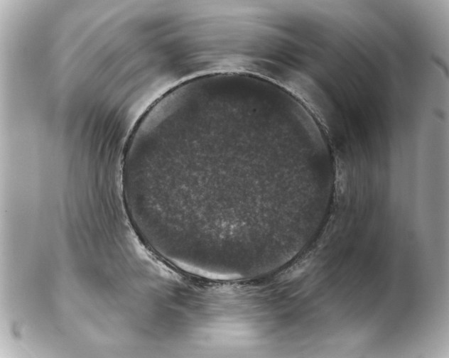 X0000102540950200808291839