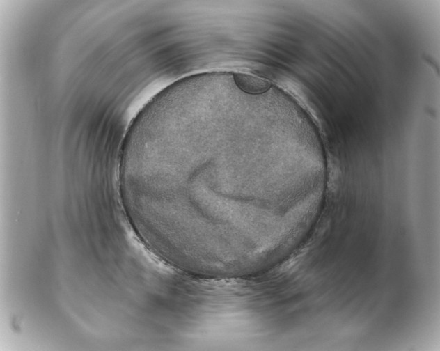 X0000102540952200808291839