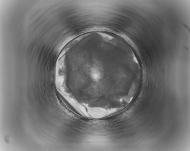 X0000102540953200808291839