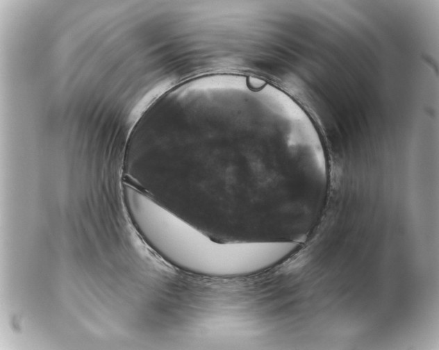 X0000102540954200808291839