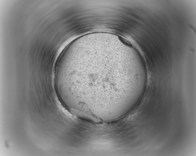 X0000102540955200808291839