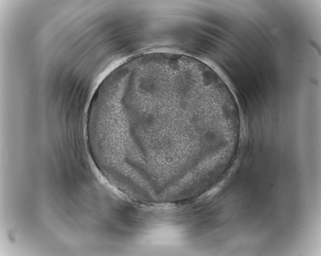 X0000102540957200808291839