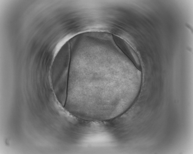 X0000102540960200808291839