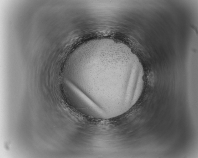 X0000102540961200808291838