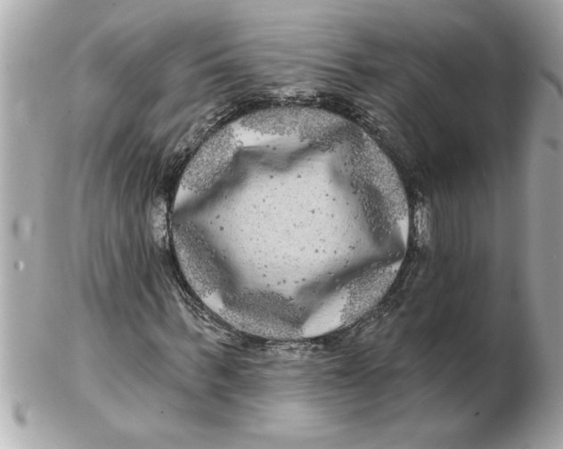 X0000102540963200808291838