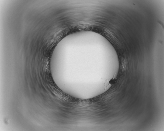 X0000102540964200808291838