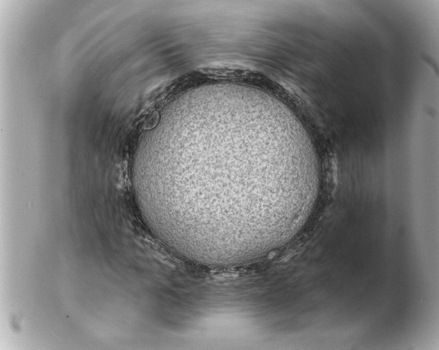 X0000102540965200808291838