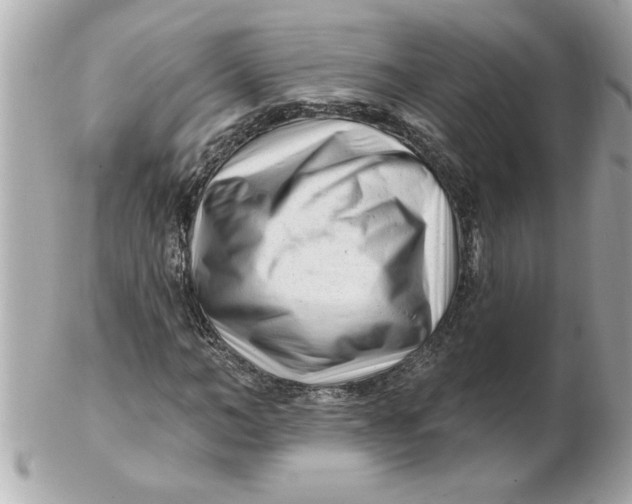 X0000102540966200808291838