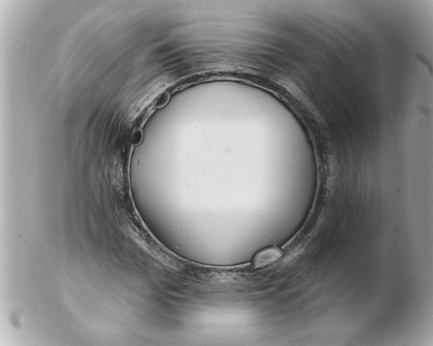 X0000102540969200808291838