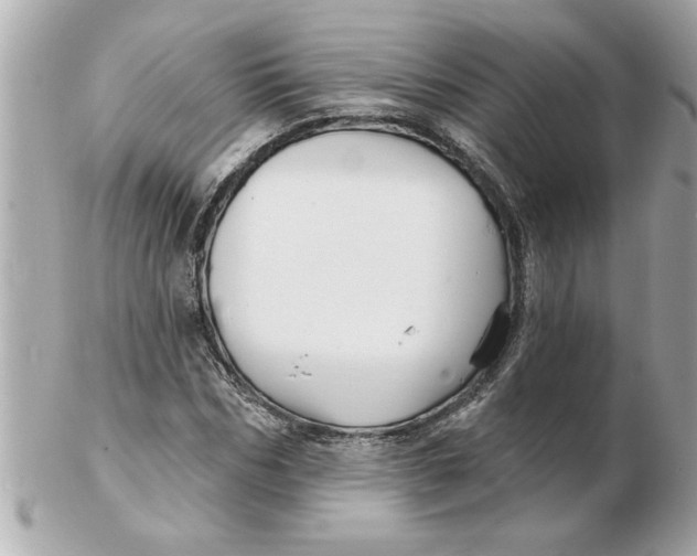 X0000102540970200808291838