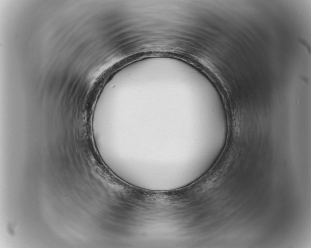 X0000102540971200808291838