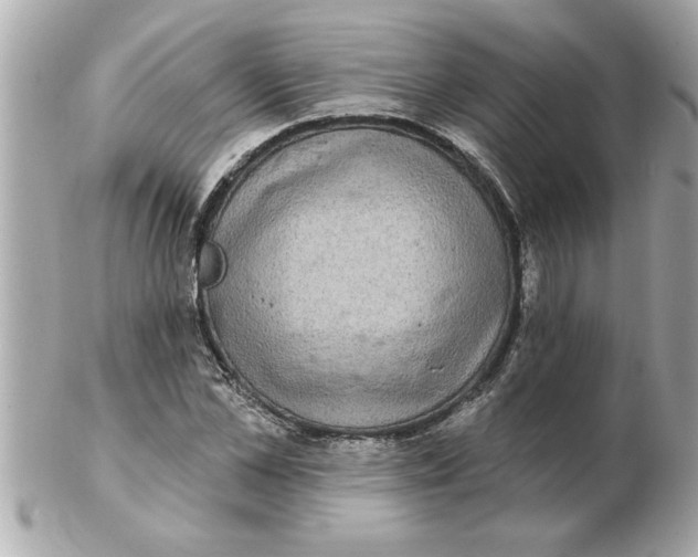 X0000102540973200808291838