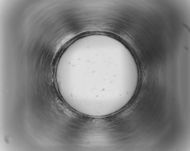 X0000102540974200808291838