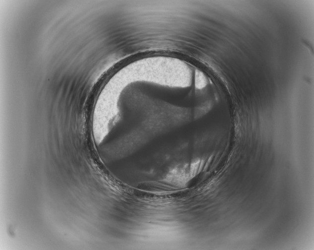 X0000102540975200808291838