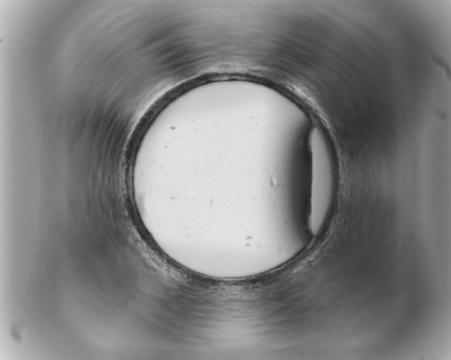 X0000102540976200808291838