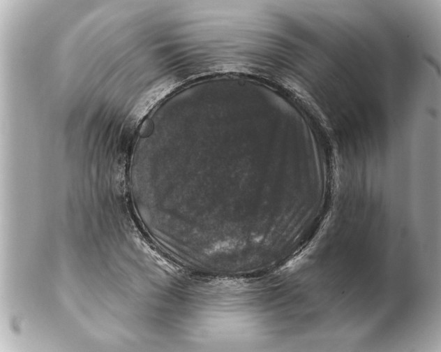 X0000102540977200808291838