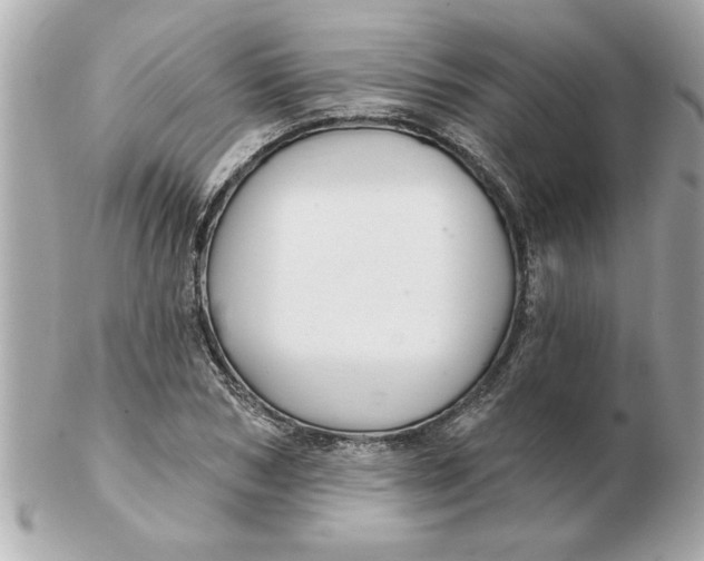 X0000102540978200808291838