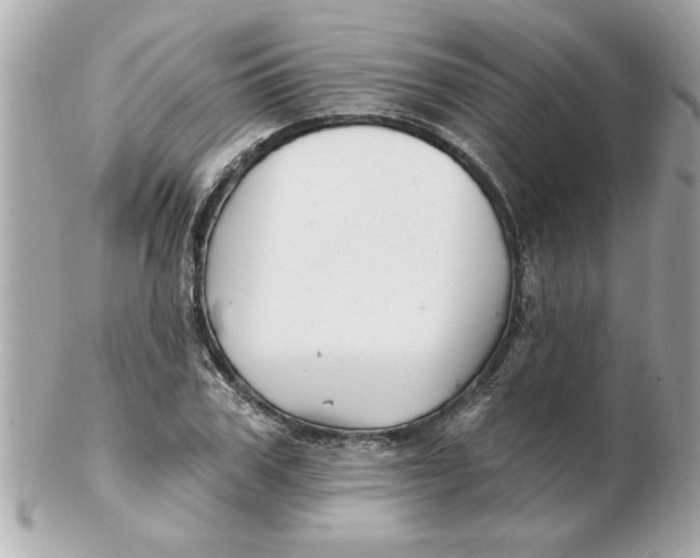 X0000102540979200808291838