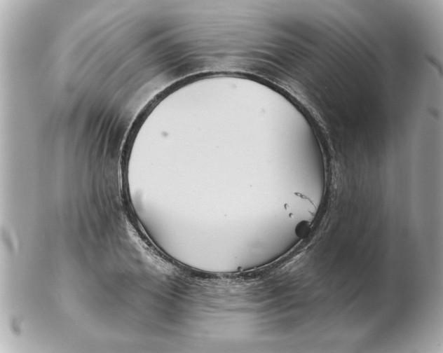 X0000102540980200808291838