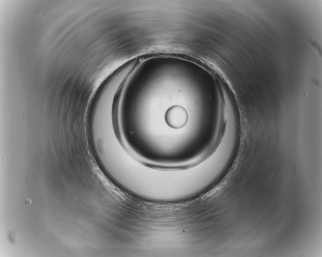 X0000102540981200808291838