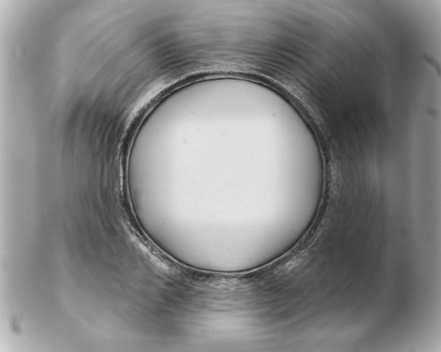 X0000102540982200808291838