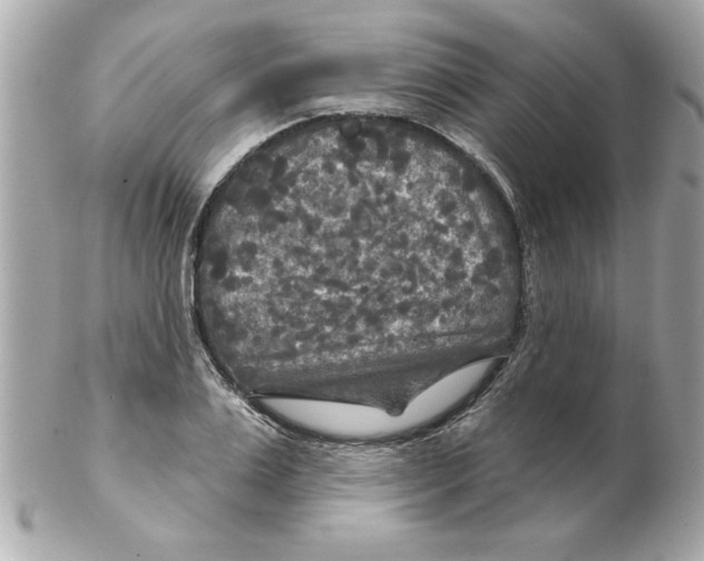 X0000102540983200808291838