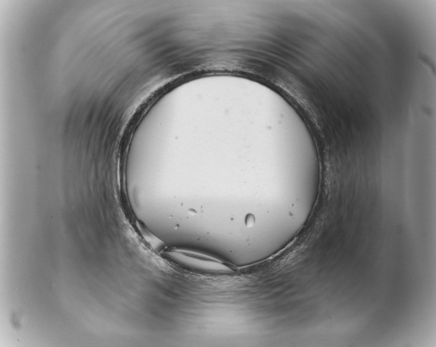 X0000102540984200808291838