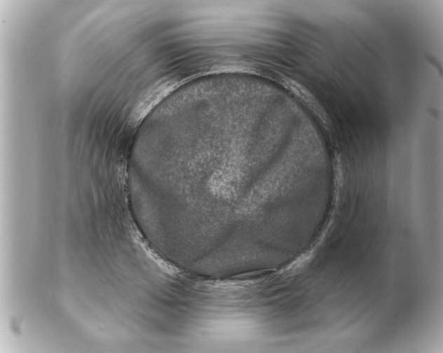 X0000102540985200808291838