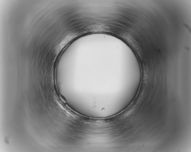 X0000102540986200808291838