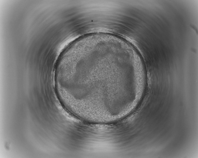 X0000102540987200808291838