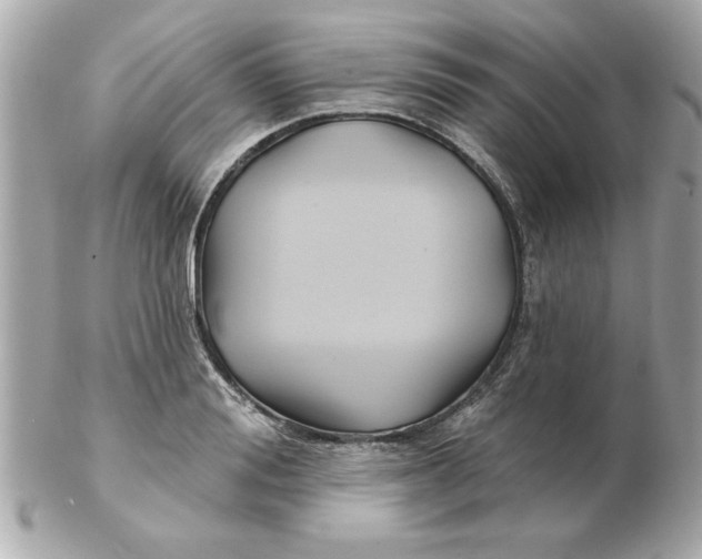 X0000102540988200808291838