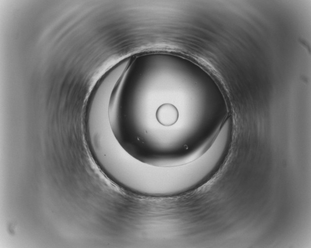 X0000102540989200808291838