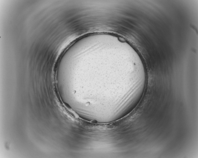 X0000102540990200808291838