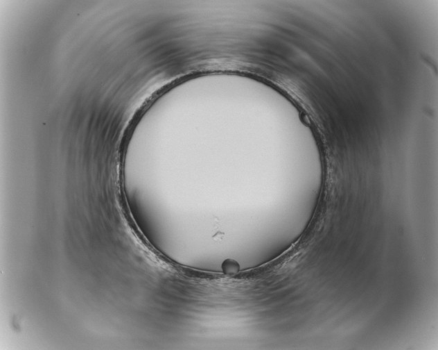 X0000102540992200808291838