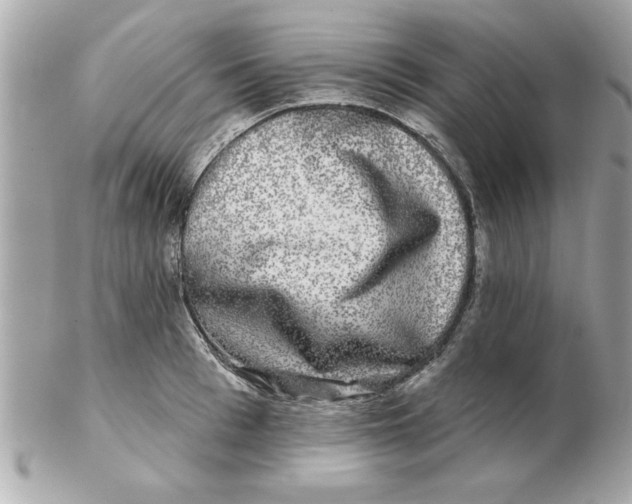 X0000102540993200808291838