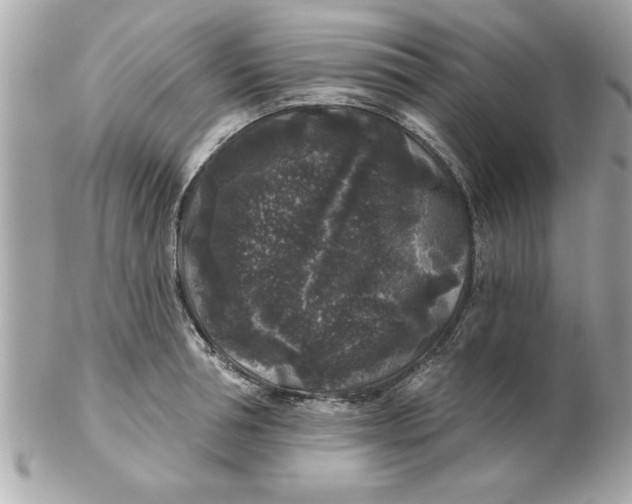 X0000102540994200808291838