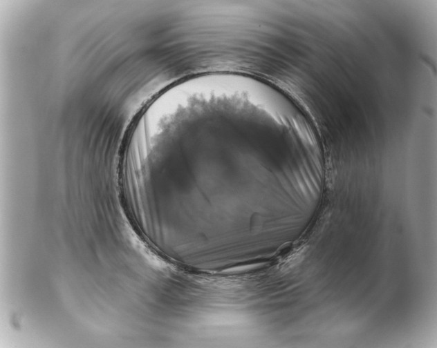 X0000102540995200808291838