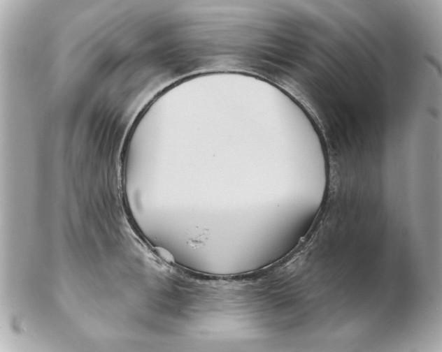 X0000102540996200808291838