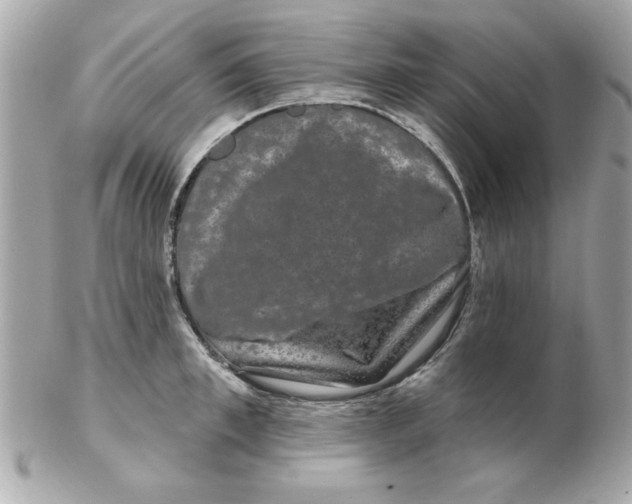 X0000102540997200808291838